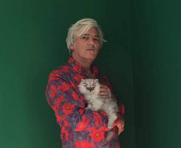 Robyn_Hitchcock_November.jpeg